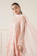 3 Piece Embroidered Chiffon Suit