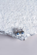 Earrings | AER-S24-49
